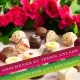 FÜR BESONDERE MENSCHEN & ANLÄSSE - Die besondere Geschenkidee für Frauen, Männer, Freunde, Familie, Kollegen & besondere Lieblingsmenschen. Perfekt zum Valentinstag, für Verliebte, romantische Überraschungen & unvergessliche Momente zu zweit