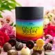 PRALINEN IN DER GESCHENKDOSE OHNE ALKOHOL - Edle handgemachte Pralinen aus feinstem Confiserie-Edelkakao, stilvoll verpackt in einer hochwertigen XXL-Geschenkdose. Perfekt als exklusives Geschenk für besondere Genussmomente