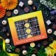 PRALINEN GESCHENKBOX OHNE ALKOHOL - Edle handgemachte Pralinen aus feinstem Confiserie-Edelkakao, stilvoll verpackt in einer hochwertigen XL-Geschenkbox. Exklusiver Schokoladengenuss für besondere Anlässe & genussvolle Momente