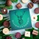 PRALINEN GESCHENKBOX OHNE ALKOHOL - Edle handgemachte Pralinen aus feinstem Confiserie-Edelkakao, stilvoll verpackt in einer hochwertigen Geschenkbox. Exklusiver Schokoladengenuss für besondere Anlässe & genussvolle Momente