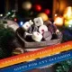 FÜR BESONDERE MENSCHEN & ANLÄSSE - Die besondere Geschenkidee für Frauen, Männer, Freunde, Familie, Kollegen & besondere Lieblingsmenschen. Perfekt für Weihnachten, Nikolaus, Winter, Advent, festliche Überraschungen & besinnliche Genussmomente