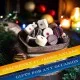 FÜR BESONDERE MENSCHEN & ANLÄSSE - Die besondere Geschenkidee für Frauen, Männer, Freunde, Familie, Kollegen & besondere Lieblingsmenschen. Perfekt für Weihnachten, Nikolaus, Winter, Advent, festliche Überraschungen & besinnliche Genussmomente