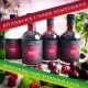 FÜR BESONDERE MENSCHEN & ANLÄSSE - Die besondere Geschenkidee für Frauen, Männer, Freunde, Familie, Kollegen & besondere Lieblingsmenschen. Perfekt als Geschenkidee, Überraschung, Mitbringsel, kleine Aufmerksamkeit & für besondere Genussmomente