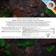Zartbitter-Tafel Minze (Minze) - Vegane Schokolade, handmade ohne Alkohol