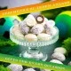 FÜR BESONDERE MENSCHEN & ANLÄSSE - Die besondere Geschenkidee für Frauen, Männer, Freunde, Familie, Kollegen & besondere Lieblingsmenschen. Perfekt zum Gratulieren, als Glückwunsch, kleine Aufmerksamkeit & für unvergessliche Genussmomente