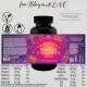 Multi Vitamin - Multivitamin Gummies, 120 vegane Vitaminherzen