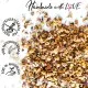 Waldfee Eistee (mit Pfirsich, Hibiskus & Karotte) - Cold Tea, loser Tee Geschenkdose