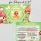 Waldfee Eistee (mit Pfirsich, Hibiskus & Karotte) - Cold Tea, loser Tee Geschenkdose
