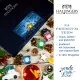 TEE ADVENTSKALENDER - 24 Sorten premium loser Tee als exklusives Probierset in edler Box mit Rezept-Booklet. 24 besondere Genussmomente für Teeliebhaber, Genießer & entspannte Wohlfühlmomente in der Adventszeit
