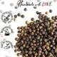 Indischer Tellicherry-Pfeffer (für Lebkuchen, Salate & Fleisch) - Pfeffer, zum Kochen Geschenkdose