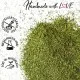 Dillspitzen (für Kartoffelsalat, Lachs & Dill-Hendl) - Gewürz Basic, zum Kochen Geschenkdose
