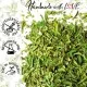 Estragon (für Kapernsoße,  Zander & Kartoffelsalat) - Gewürz Basic, zum Kochen Geschenkdose