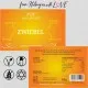 Zwiebel (für Hackbraten, Marinade & Bolognese) - Gewürz Basic, zum Kochen Geschenkdose