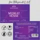 Muskatnüsse (für Spinatsoße, Gratin & Kohlsuppe) - Gewürz Basic, zum Kochen Geschenkdose