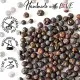 Wacholderbeeren (für Wildgulasch, Rindeintopf & Gin-Sauce) - Gewürz Basic, zum Kochen Geschenkdose