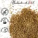 Kümmel (für Gulasch, Sauerkraut & Kartoffelsuppe) - Gewürz Basic, zum Kochen Geschenkdose