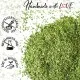 Petersilie (für Ossobuco, Pesto & Kartoffeln) - Gewürz Basic, zum Kochen Geschenkdose