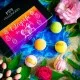 BADEBOMBEN SET IN DER GESCHENKBOX - 5x Badekugeln & Bath Bombs für entspannende Wellness-, Spa- & Wohlfühlmomente, stilvoll verpackt in einer edlen Geschenkbox. Die besondere Geschenkidee für Frauen, Entspannung & Me-Time