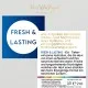 Fresh & Lasting (Hyaluron) - Serum, 1x vegane Gesichtspflege