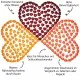 Multi, Tiger - Multivitamin Gummies, 60 vegane Vitaminherzen
