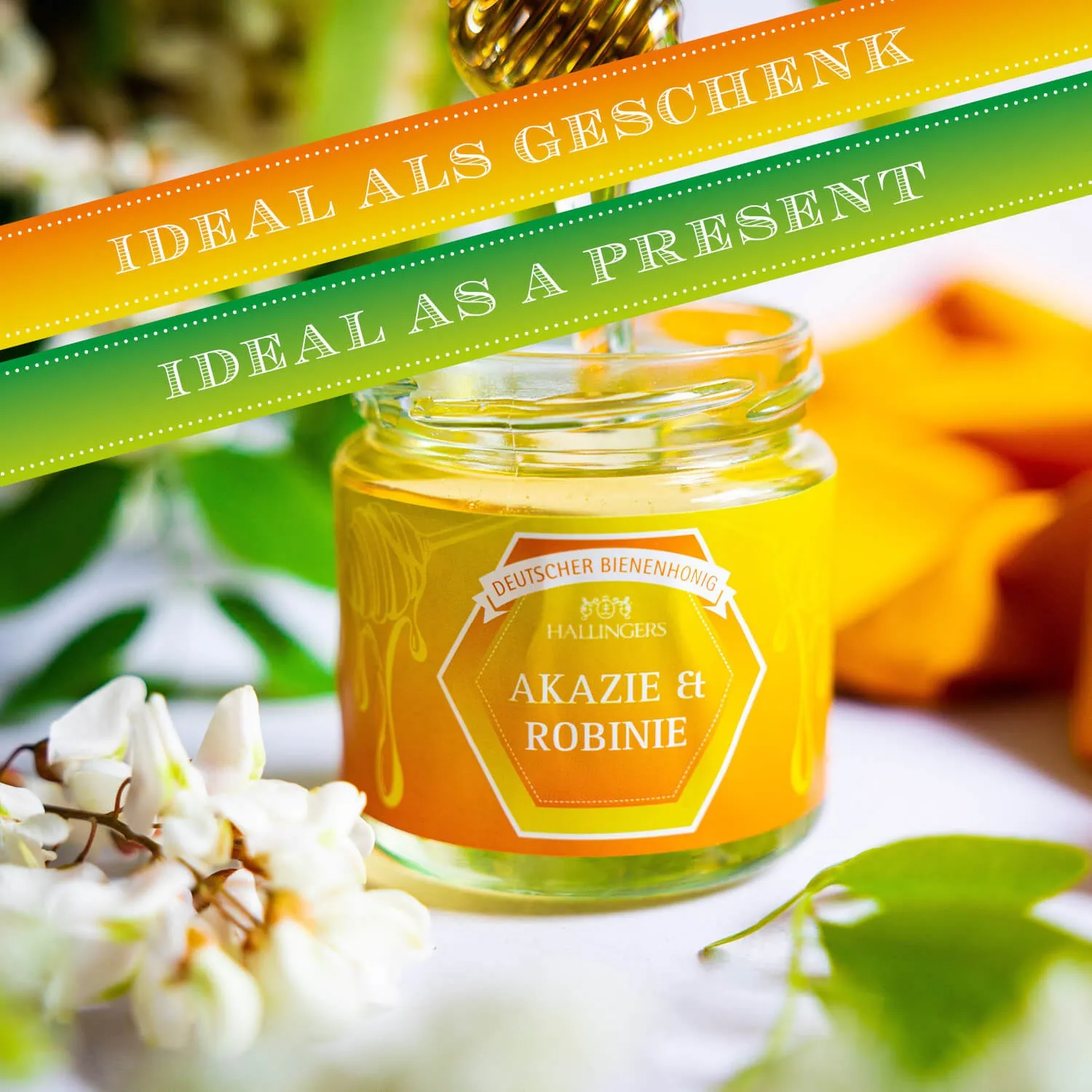 HANDWERK STATT MASSENWARE - Edition \Akazie & Robinie\: Schluss mit Honig, der vor allem durch Preis überzeugt - der Unterschied zeigt sich, wo Qualität, Reinheit & Geschmack wichtiger sind als maximale Erträge und Massenproduktion