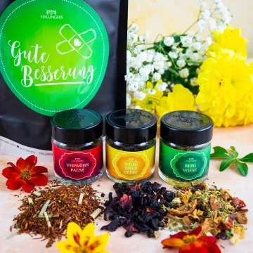 Gute Besserung (kleiner Genesungsgruß mit 3 Tees Kräutertee, Früchtetee & Roibuschtee) - Feinkost-Set, Gourmet-Auswahl Wundertüte